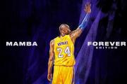 雷火电竞官方-2026世界杯四分之一决赛，丹麦风暴席卷，齐耶赫闪耀中场，罗马尼亚防线崩塌