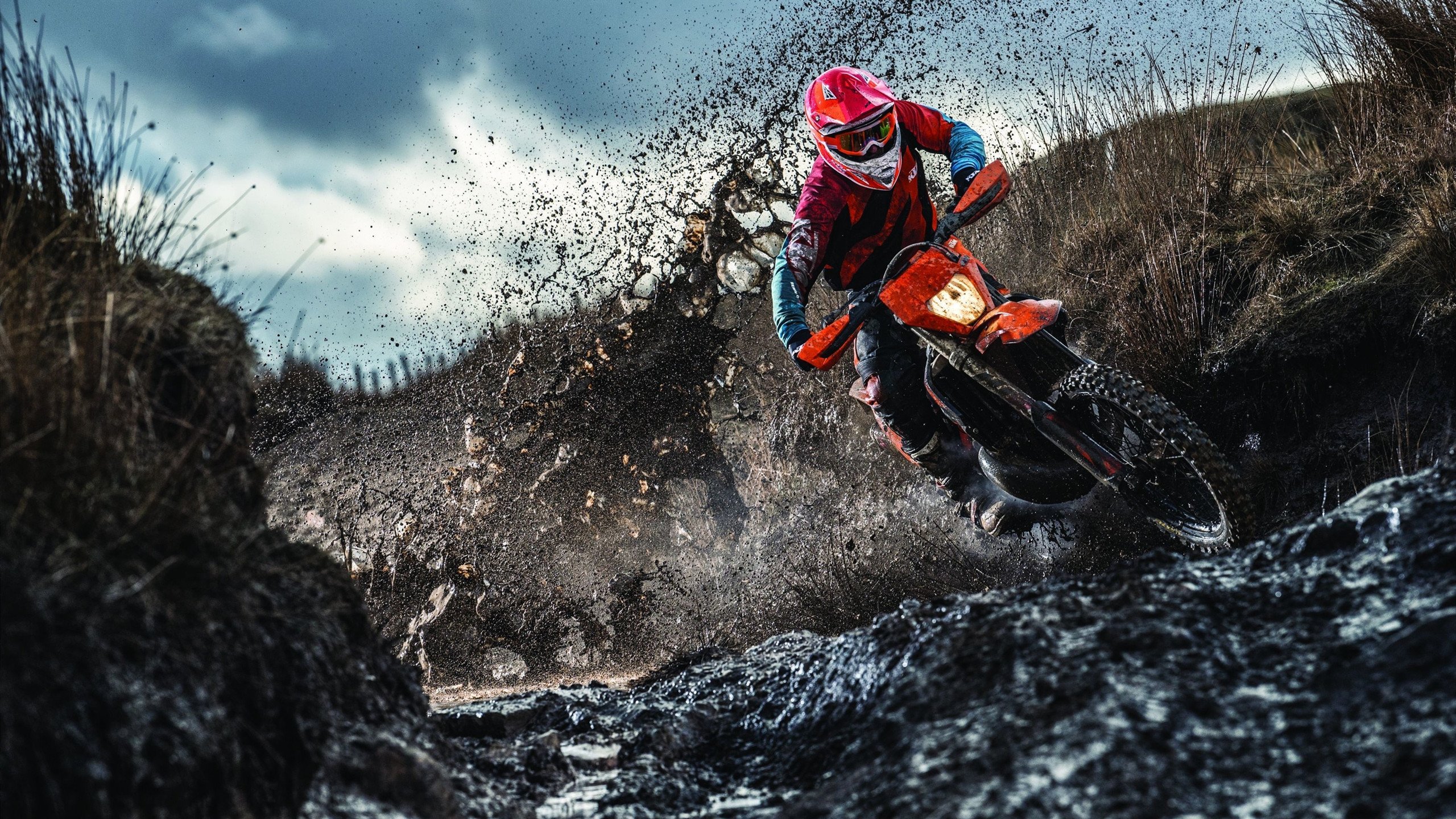 文班亚马冠军级表现启示录,从尼克斯淘汰广厦看竞技体育的永恒法则